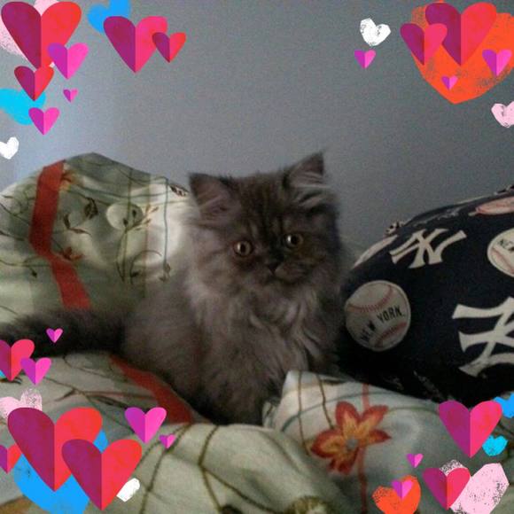 Meet your Posher, Beata - Picture 1 of 1